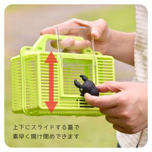 虫かご 虫カゴ 虫篭 虫 虫取り 虫捕り 虫とりの詳細画像1