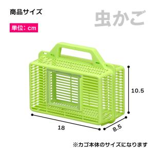 虫かご 虫カゴ 虫篭 虫 虫取り 虫捕り 虫とりの詳細画像4