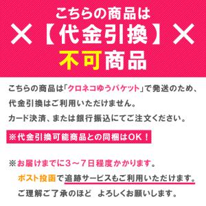 部品 紛失 破損 修理 パーツ交換 クーラーボ...の詳細画像3