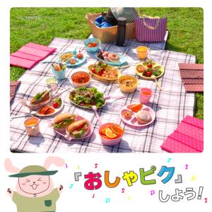 アウトドア 食器 電子レンジ対応 食洗機対応 ...の詳細画像2