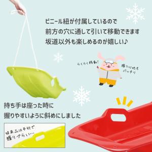 そり ソリ 草そり 草ソリ 芝生 雪遊び ウィ...の詳細画像4