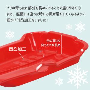 そり ソリ 草そり 草ソリ 芝生 雪遊び ウィ...の詳細画像5