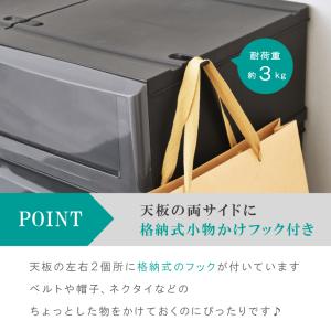 超PayPay祭衣装ケース 収納ケース プラス...の詳細画像4
