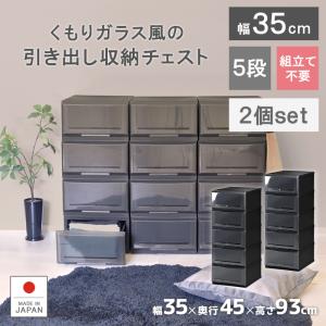 伸和（SHINWA） 衣装ケース 収納ケース プラスチック 引き出し 5段