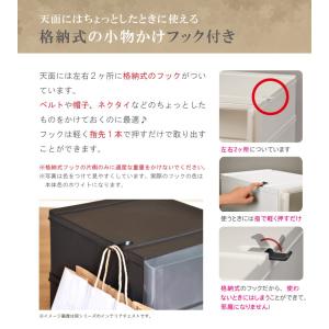 衣装ケース 収納ケース プラスチック 引き出し...の詳細画像5