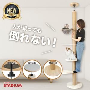 NEW！つっぱり式 キャットタワー 249.5cm 【全面進化改良版】キャットタワースタジアム クリアボウル 突っ張り 猫タワー 猫 天然木 ラバーウッド スリム