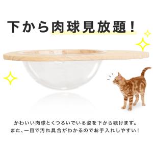 クリアボウル ハンモック キャットタワースタジ...の詳細画像4