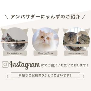 キャットタワー ラバーウッド Sクラス 天然木...の詳細画像1