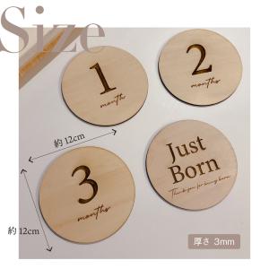 マンスリーカード 13枚セット 12cm 木製...の詳細画像1