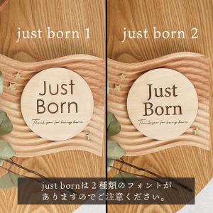マンスリーカード 13枚セット 12cm 木製...の詳細画像2