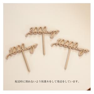 100days 300days 1000day...の詳細画像2