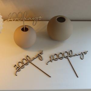 100days 300days 1000day...の詳細画像5