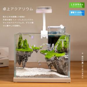 金魚 水槽 おしゃれ 玄関の商品一覧 通販 Yahoo ショッピング