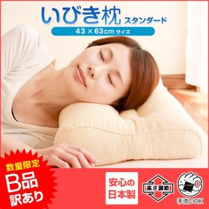 B品 訳あり いびき枕 スタンダード 訳あり品 数量限定 送料無料 枕 まくら いびき 43×63 43 63 高さ調節 洗える パイプ 日本製 国産 いびき防止 防止｜living-in-peace