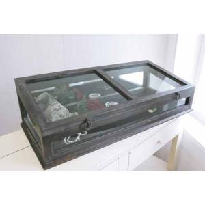 ショーケース キャビネット 飾り棚 アンティーク 84305CT-SV 輸入雑貨 ショーケース アクセサリーキャビネット ジュエリーケース