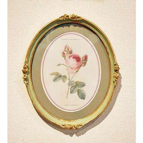 輸入雑貨 額絵 アートフレーム ロココ ローズ 楕円 ルドゥーテローズ エレガント アンティーク風 ...