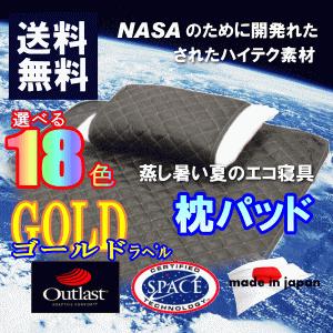 アウトラスト 枕パッド 2枚組 日本製 ゴールドラベル 冷感 : Living