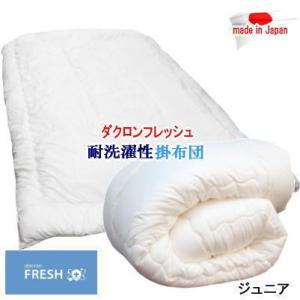 掛布団 クイーン クィーン フィルケア 抗菌 防臭 洗える 掛けふとん