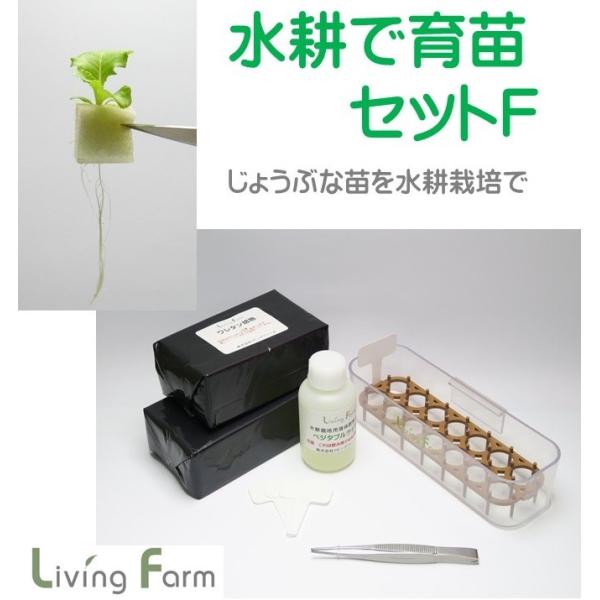 水耕栽培 育苗セットF　種なし