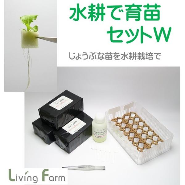 水耕栽培 育苗セットＷ　種なし
