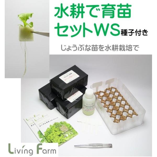 水耕栽培 育苗セットＷＳ　種付き