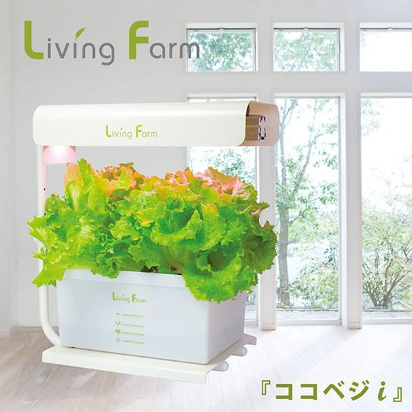 水耕栽培キット ココベジi