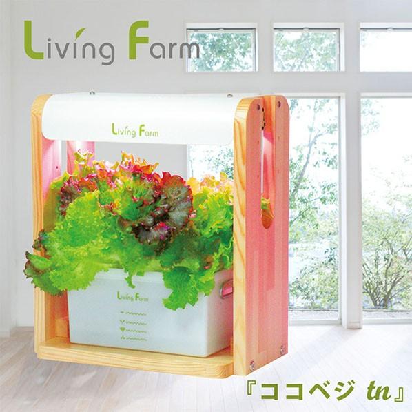 水耕栽培キット ココベジｔｎ