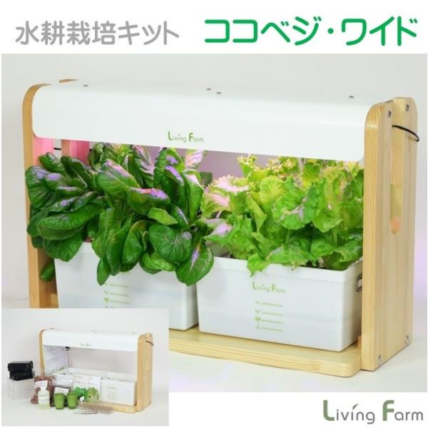 水耕栽培キット ココベジ tnワイド