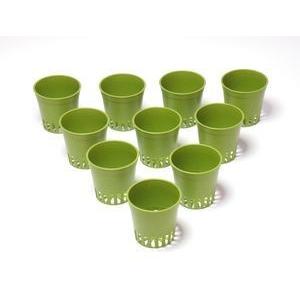 水耕栽培用 育成ポット（緑）10個入り