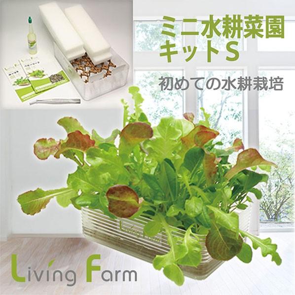 水耕菜園キットＳ ミニ
