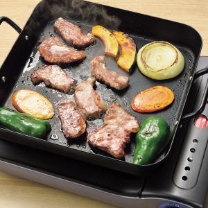 ガス焼肉ロースター MA-F S型 卓上用（旧国際什器MA-3型）LPガス用
