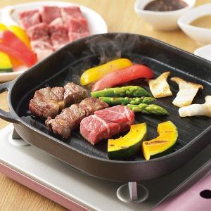 パール金属 IHでもガスでも使える鉄製角型プレート (ウェーブ) 25×25cm