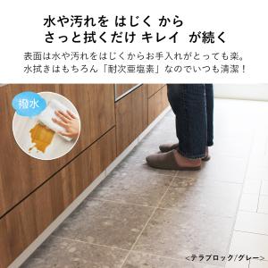 拭ける キッチンマット ラグ 【幅60cm×長...の詳細画像3