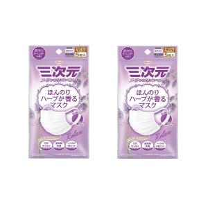 2個セット】小林製薬 しっとり美肌マスク 就寝用 ふつう Mサイズ 3枚入