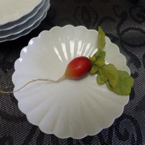 有田焼 賞美堂 其泉 白磁 菊割り 和皿揃え 丸皿 取皿 5客組 引き出物