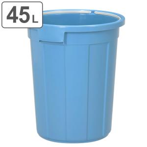 ゴミ箱 45L 本体のみ ニューセレクトペール ...の商品画像