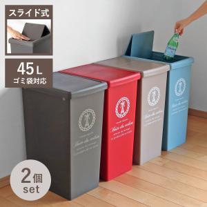 ゴミ箱 同色2個セット 45L スライドペール ふた付き エッフェル塔 （ ごみ箱 45リットル ダストボックス スリム 分別 キッチン スライド ）