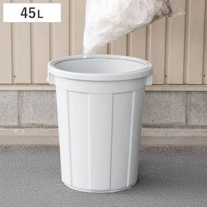 ゴミ箱 45L 本体 エコペール ( ごみ箱 フ...の商品画像