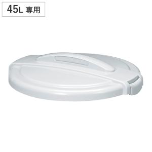 ゴミ箱 蓋 エコペール 45L 専用 ( ふた ...の商品画像