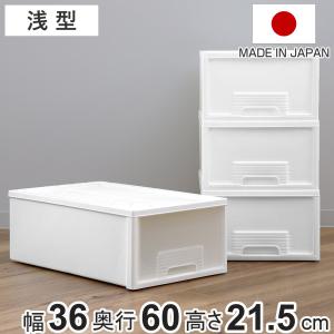 天馬 収納ケース たっぷり収納ケース 幅39×奥行66×高さ30cm 天馬 収納ケース たっぷり収納ケース 幅39×奥行66×高さ30cm