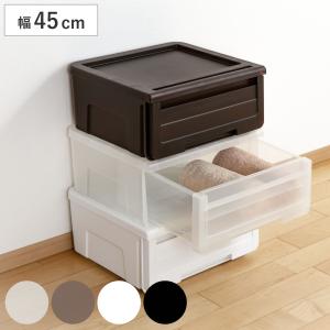 天馬 収納ケース カバゾコ 幅60×奥行40×高さ22cm プラスチック