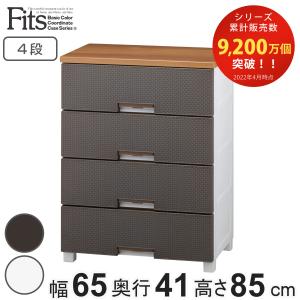 天馬 天馬フィッツプラスイージー FE5504 衣装ケース 収納ケース