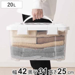 天馬 収納ボックス 幅42×奥行31×高さ25cm フタ付き 持ち手付き