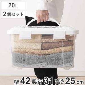 天馬 収納ボックス 幅42×奥行31×高さ25cm フタ付き 持ち手付き