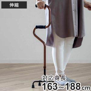 杖 介護用品 4点杖 自立式 室内 四点杖 伸縮杖 立ち上がり フジホーム