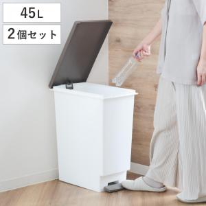 ゴミ箱 45L 同色2個セット スリムペダル ふた付き