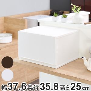 SANKA 収納ケース 幅37.6×奥行35.8×高さ18.8cm コレクトケース Mワイド