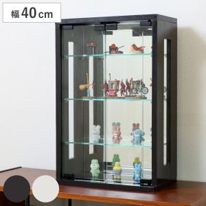 不二貿易（Fuji Boeki） コレクションケース ガラス コレクション棚