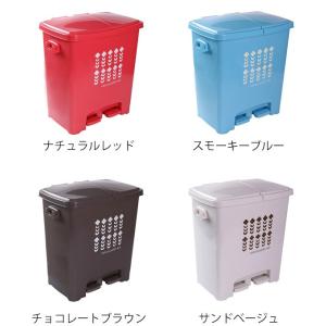 ゴミ箱 分別 エコペダルペール 40L 日本製...の詳細画像2