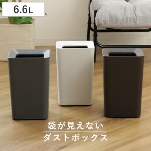 ゴミ箱 6.6L 角型 ルクレール （ ごみ箱 6.6リットル 袋 見えない くず入れ 2重構造 小さい リビング シンプル ）